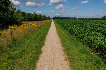 Obraz premium Borculo im holländischen Gelderland