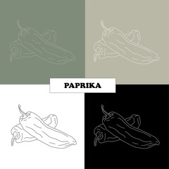 paprika is a spice, a seasoning hand-drawn sketch in a vector. An element for printing, packaging design, cover, and icons.