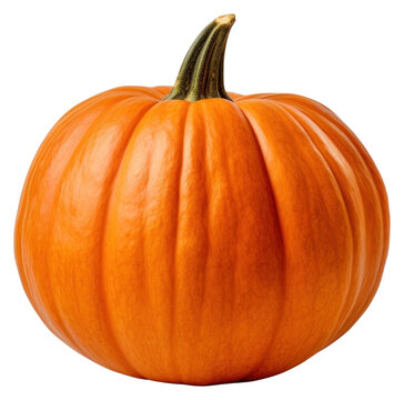 PNG Pumkin vegetable pumpkin plant.