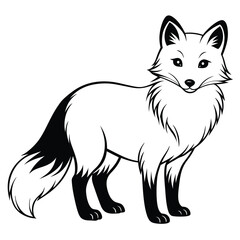 Arctic Fox Vector Illustration for Wildlife Lovers and Graphic Designers