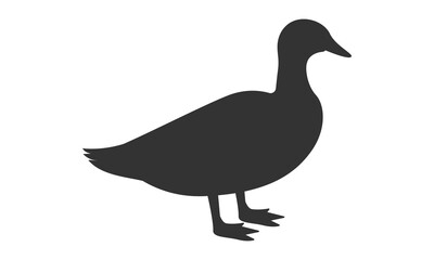 Duck silhouette on white background. Vector illustration.