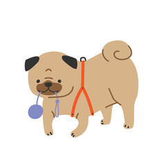 Cute cartoon cheerful pug dog plays with a dog toy. Vector illustration.