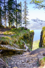 The Split Cliffs of Mørkgonga Nature Reserve