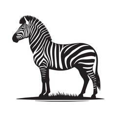 Zebra silhouette vector illustration