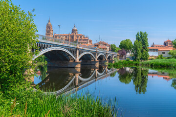 Obraz premium Salamanca Spain with Cathedral and Enrique Esteban bridge Castilla y Leon region