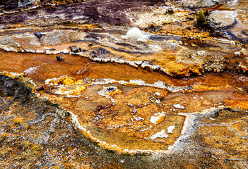 Close-up of the earth surface in the Orakei Korako Park, Taupo, North Island, New Zealand, Oceania.