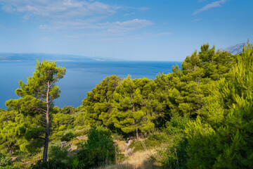 View of the Adriatic coast during summer