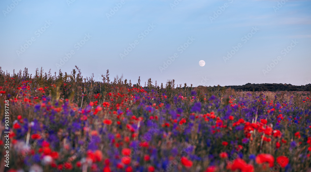 Aufkleber a glowing full moon rises in the twilight sky over on a rustic field with flowers.