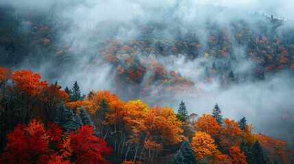 Fototapeta premium Vibrant fall foliage amidst misty mountains in autumn landscape