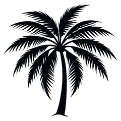 Obraz premium palm tree silhouette, silhouette of trees, silhouette of tree