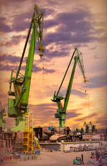High cranes in the Gdańsk Stocznia, old shipyard  © Maryna Konoplytska