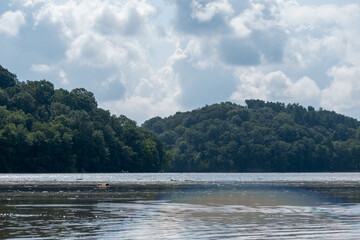A gorgeous view of water near trees and plants at a local park in Minnesota.
