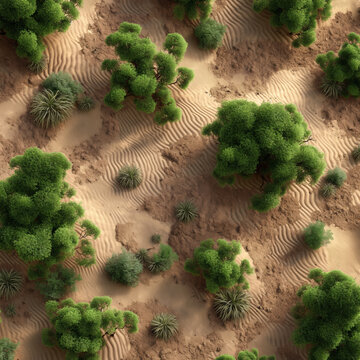 Desert Landscape with Haloxylon Ammodendron Trees