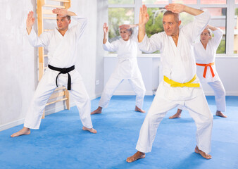 Diligent elderly women and men attendee of karate classes practicing kata standing in row with others in sports hall © JackF
