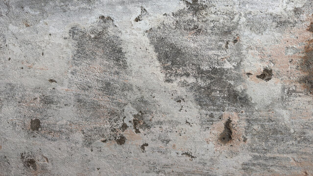 Gray Wall Banner with copy-space. Premium Urban Concrete Texture Background.