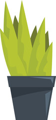 Green plant growing in a pot, representing concepts like nature, growth and home decoration