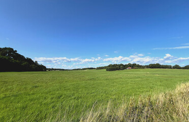 Fototapeta premium weite Landschaft im Süden Schwedens
