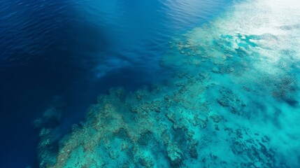 Obraz premium Ocean surface aerial top view, sea with coral reef
