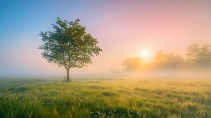 Obraz premium Free good morning scene wallpaper background photo