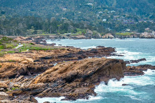 Point Lobos State Natural Reserve, Carmel, Monterey County, California, United States of America