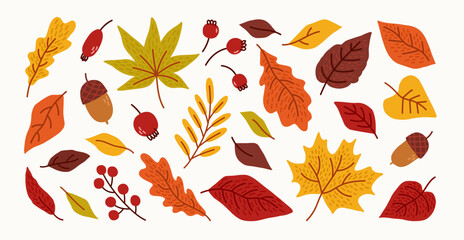 Fototapeta premium Collection of hand drawn autumn leaves and berries. Fall leaves, maple, acorns, berries, oak, rowan. Vector trendy flat illustration.