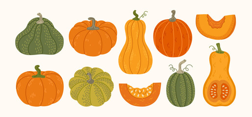 Set of hand drawn pumpkins, half with seeds and slices. Fall ripe vegetable. Autumn, Thhanksgiving and Halloween design elements. Vector flat illustration.