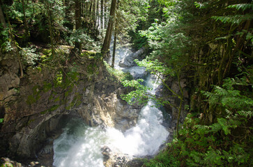 Fototapeta premium Downstream water from the Cascade Falls located Northeast of Mission, British Columbia, Canada