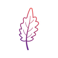 Autumn leaves icon Vector