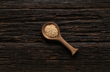 Quinoa seeds in the spoon - Chenopodium quinoa