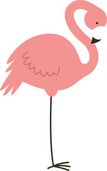 Flamingo Bird Hand Drawn