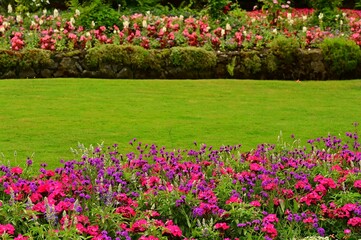 Beautiful blooming flowers in botanical gardens of Victoria, British Columbia, Canada