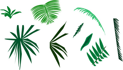 jungle leaves.eps