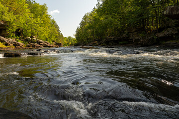 A gorgeous view of water near trees and plants at a local park in Minnesota.