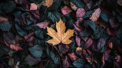 Colorful Autumn Leaves Background