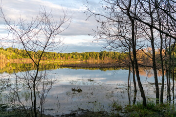 Fototapeta premium A gorgeous view of water near trees and plants at a local park in Minnesota.