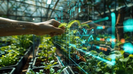 A hand reaches out to touch a plant in a greenhouse, a digital overlay showing data and information about the plant.