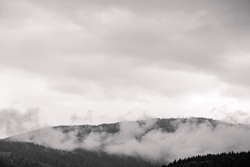  mountain foggy landscape.Textured forest under cloudy sky.Fog in the mountains. Matrei ins Tyrol,Austria. Mountain landscape panorama.