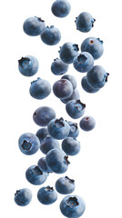 Ripe blueberries descending gracefully isolated on white background, full depth of field, transparent png background