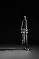 Shiny trumpet on dark background. Wind musical instrument