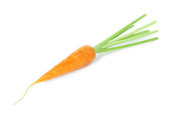 One fresh ripe carrot isolated on white