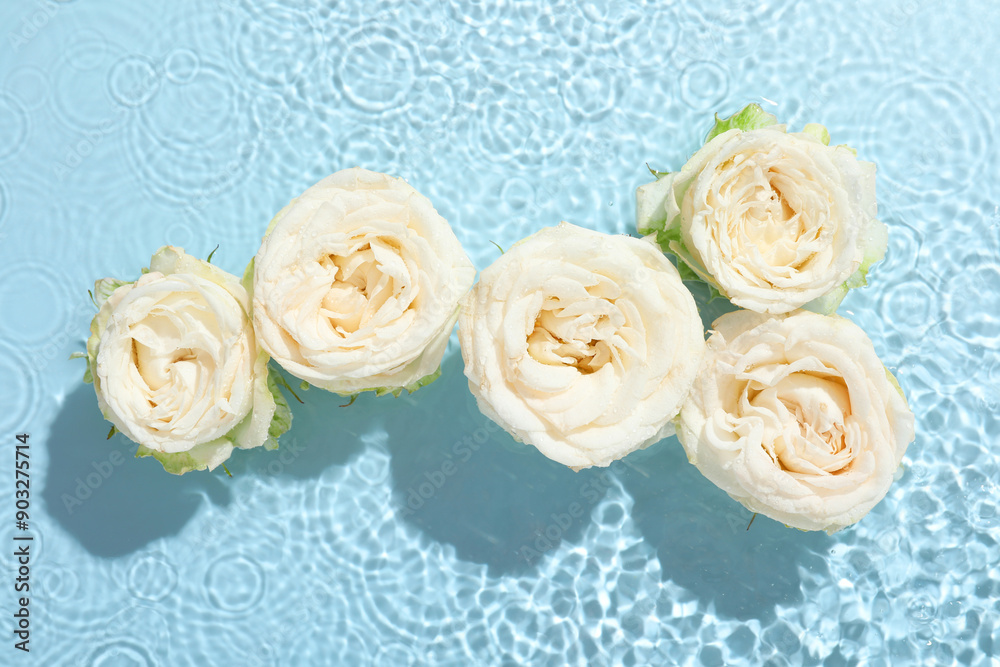 Poster Beautiful rose flowers in water on light blue background, top view