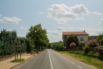 Naklejka premium Road in the countryside with trees and the blue sky background 