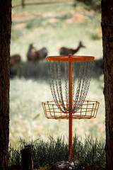 Close-up color photo of an orange metal disc golf basket in a wooded area in front of a soft...