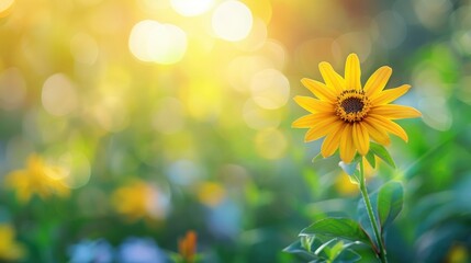 Obraz premium Blooming yellow flower in the morning on beautiful bokeh background, ai
