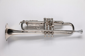 One trumpet on light background, top view