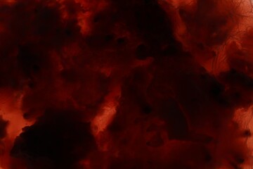 Obraz premium Sample of bacteria culture as background, macro view