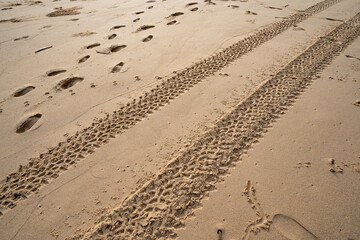 4x4 tyre tracks crisscrossing Tire tracks on the sand texture background.