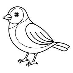 Cute Bird Line Art Vector Illustration