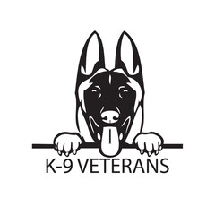 Veteran dog