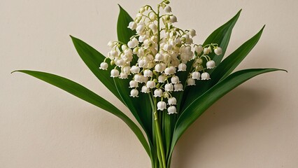 Obraz premium Lily of the Valley flower bouquet isolated on light beige background, spring garden flowers, white Lily of the valley flowers 